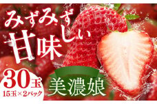 岐阜いちご 美濃娘 2P【1月までの入金で今期の発送】 イチゴ 苺 みのむすめ 岐阜市/JAぎふ [ANAO004]