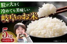 岐阜県産特別栽培米ハツシモ(5kg) 白米 お米 岐阜県産 岐阜市/JAぎふ [ANAS012]