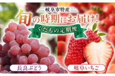 岐阜市特産 旬の時期にお届け くだもの定期便（（1）長良ぶどう デラウエア、（2）岐阜いちご 美濃娘2P） ブドウ 葡萄 イチゴ 岐阜市/JAぎふ [ANAS010]