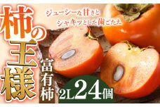 富有柿 2Ｌ 24個【2024年11月発送】 柿の王様 カキ 果物 岐阜市/JAぎふ [ANAS015]