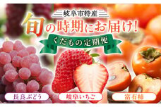 岐阜市特産 旬の時期にお届け くだもの定期便（（1）長良ぶどう デラウエア、（2）富有柿、（3）岐阜いちご 美濃娘1P）ブドウ カキ イチゴ 岐阜市/JAぎふ [ANAS011]