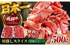 【飛騨牛】切落しスライス(250g×2) 和牛 焼肉 小分け 岐阜市/丸福商店 [ANBO003]
