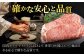  飛騨牛 ひだぎゅう 牛肉 ぎゅうにく