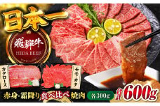 【飛騨牛】赤身(モモ・カタ)・霜降り(バラ)焼肉(各300g)計600g BBQ 赤身 ロース 岐阜市/丸福商店 [ANBO023]