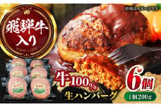 飛騨牛 生ハンバーグ（200g×6個）/ 飛騨牛 ひだぎゅう ハンバーグ はんばーぐ 牛肉 100% 手ごね 特大 国産牛 冷凍 和牛 岐阜市/丸福商店 [ANBO030]
