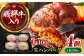 ハンバーグ はんばーぐ 飛騨牛 ひだぎゅう 牛肉