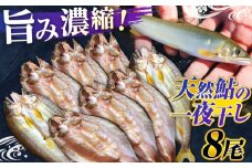 清流長良川 天然鮎 一夜干し 手作り 香魚 冷凍 岐阜市 / 天然鮎専門 結の舟 [ANBN002]