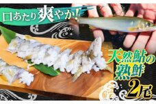 清流長良川 天然鮎 鮎鮓（なれずし） 木桶 発酵食 生熟れ 岐阜市/天然鮎専門 結の舟 [ANBN003]