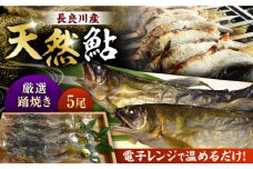 【簡単調理】清流長良川 天然鮎 踊焼き 個包装 冷凍 上質 岐阜市/天然鮎専門 結の舟 [ANBN005]