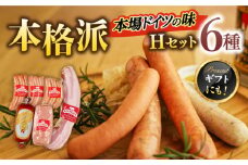 マイスター直伝手作りソーセージ Hセット 6種 ウインナー ソーセージ ベーコン 岐阜市/ドイツデリカテッセン　クリンゲン [ANBQ008]