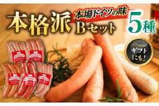 マイスター直伝手作りソーセージ Bセット 5種 ウインナー チョリソー BBQ 岐阜市/ドイツデリカテッセン　クリンゲン [ANBQ002]