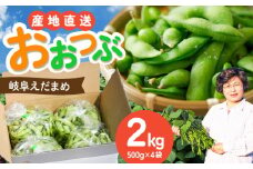【毎年6月〜8月の発送】 岐阜市特産 枝豆2kg 1袋500g×４袋 ビールやお酒のおつまみに 【配送不可地域：北海道・沖縄・離島】 料理 新鮮 採れたて 大粒 夏 あて 岐阜市 / 栗本農園 [ANCM001]