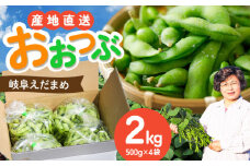 【毎年6月〜8月の発送】 岐阜市特産 枝豆2kg 1袋500g×４袋 ビールやお酒のおつまみに 【配送不可地域：北海道・沖縄・離島】 料理 新鮮 採れたて 大粒 夏 あて 岐阜市 / 栗本農園 [ANCM001]