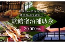 岐阜 長良川温泉宿泊クーポン券（30,000円分） 補助券 観光 トラベル 岐阜市/岐阜長良川温泉旅館協同組合 [ANAF003]