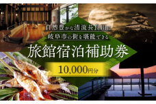 岐阜 長良川温泉宿泊クーポン券（10,000円分） 補助券 観光 トラベル 岐阜市/岐阜長良川温泉旅館協同組合 [ANAF001]
