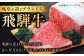 飛騨牛 ひだぎゅう サーロイン ロース モモ 切り落とし ステーキ すきやき しゃぶしゃぶ