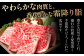 飛騨牛 ひだぎゅう サーロイン ロース モモ 切り落とし ステーキ すきやき しゃぶしゃぶ