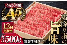 【12回定期便】飛騨牛 すきやき しゃぶしゃぶ 500g ロース（肩ロース） 5等級 A5 贅沢三昧定期便 国産 和牛 岐阜県 岐阜市/だるまミート [ANBE007]