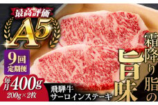 【9回定期便】飛騨牛 サーロイン ステーキ 2枚 200g 5等級 A5 贅沢三昧定期便 国産 和牛 岐阜県 岐阜市/だるまミート [ANBE011]