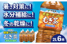 伊藤園 健康ミネラルむぎ茶 2L×6本入り 麦茶 飲み物 ペットボトル 岐阜市/伊藤園 岐阜支店 [ANCX001]
