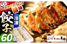 岐阜老舗ラーメン店天外 冷凍自家製餃子セット６０個入り 簡単調理 自宅で本格餃子 主婦応援 おつまみ 中華 惣菜 岐阜市/カツヤプロジェクト [ANCT021]
