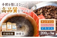 珈琲豆 自家焙煎豆3種セット デイリーブレンド200g マンデリン200g ブラジル200g 岐阜オリジナルパッケージ アラビカ種 コーヒー 岐阜市/就労継続支援B型事業所 アンドワークス [ANDA001]