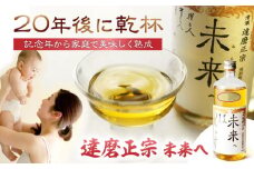達磨正宗 未来へ 2024 日本酒 清酒 生まれ年 岐阜市/白木恒助商店 [ANBG003]