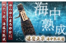 達磨正宗 海中熟成酒（日本酒・純米酒） 清酒 お酒 半年熟成 岐阜市/白木恒助商店 [ANBG004]