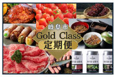 岐阜市 Gold class 定期便 選べる コンサル [ANFT012]