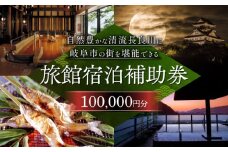 岐阜 長良川温泉宿泊クーポン券（100,000円分） 補助券 観光 トラベル 岐阜市/岐阜長良川温泉旅館協同組合 [ANAF005]