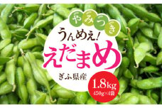 ＜うまっ！＞やみつき必須！うんめえ枝豆！ 1800g 【配送不可地域：北海道・沖縄・離島】 産地直送 野菜 えだまめ 岐阜市 / 大塚農園 [ANDQ002]