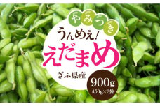 ＜うまっ！＞やみつき必須！うんめえ枝豆！ 900g 【配送不可地域：北海道・沖縄・離島】 産地直送 野菜 えだまめ 岐阜市 / 大塚農園 [ANDQ001]