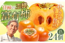 岐阜市産 富有柿 2L【24個入り】 産地直送 フルーツ 柿 岐阜市 / 羽賀政夫 [ANDZ002]