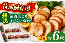 朝挽き 清流美どり イベントセット 2種 6点 鶏肉 若鶏 お取り寄せ 岐阜市/若鶏の春近 [ANDL002]