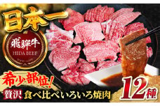【飛騨牛】贅沢食べ比べ12種（ 各100g 計1200g） いろいろ焼肉 上バラ サーロイン 牛ヒレ 岐阜市/丸福商店 [ANBO028]
