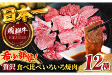 【飛騨牛】贅沢食べ比べ12種（ 各100g 計1200g） いろいろ焼肉 上バラ サーロイン 牛ヒレ 岐阜市/丸福商店 [ANBO028]