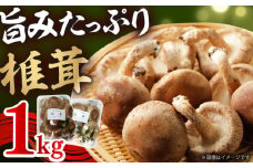 シイタケ1kg 肉厚 ジューシー 椎茸 岐阜市/JAぎふ [ANAS006]