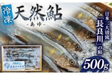 【世界農業遺産】清流長良川 天然鮎(冷凍) 500g 10月～12月申込 産地直送 新鮮 あゆ 岐阜市/SONAMU [ANEX002]