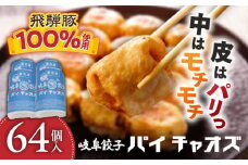 岐阜餃子64個入り（パイチャオズ） ぎょうざ 冷凍餃子 お取り寄せ 岐阜市/MABUCHIKOGYO [ANEY001]