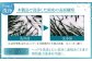 特許技術 生ナノバブル 節水 温活 保湿 肌しっとり 美髪 美肌 洗浄力