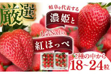 いちご 濃姫 ・ 紅ほっぺ （18粒～24粒）1箱　組み合わせ イチゴ 苺 果物 岐阜市 / さかい農園 [ANFO001]