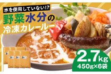 野菜の水分カレー スパイス グルテンフリー 絶品 岐阜市 / 今井自動車（ベビーダ） [ANFL001]