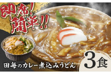 岐阜の味　田毎のカレー煮込みうどんセット 即席 カンタン 麺 岐阜市/ラボレムス [ANFP001]