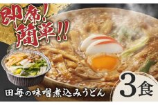 岐阜の味　田毎の味噌煮込みうどんセット 即席 カンタン 麺 岐阜市/ラボレムス [ANFP002]