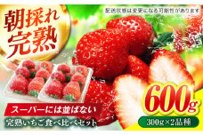 岐阜県産 いちご 食べ比べ セット 完熟 苺 おいしい 岐阜市 / セイントベリー [ANFX001]