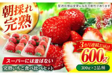【3回定期便】 いちご 2品種 食べ比べ セット  完熟 苺 おいしい 岐阜市 / セイントベリー [ANFX002]