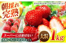 大粒 いちご ゴロゴロセット (60g以上/粒)  完熟 苺 おいしい 岐阜市 / セイントベリー [ANFX003]