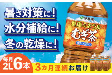 【3回定期便】 伊藤園 健康ミネラルむぎ茶 2L×6本入り 麦茶 飲み物 ペットボトル 岐阜市/伊藤園 岐阜支店 [ANCX008]