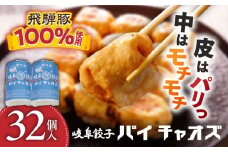 岐阜餃子32個入り（パイチャオズ） ぎょうざ 冷凍餃子 お取り寄せ 岐阜市 / MABUCHIKOGYO [ANEY002]