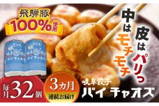 【3回定期便】 岐阜餃子32個入り（パイチャオズ） ぎょうざ 冷凍餃子 お取り寄せ 岐阜市 / MABUCHIKOGYO [ANEY006]